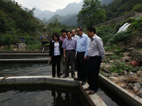 ຮອງນາຍົກລັດຖະມົນຕີ ຫງວຽນທ້ຽນເຍີນ ເຮັດວຽກກັບການນຳແຂວງ ລາຍເຈົາ